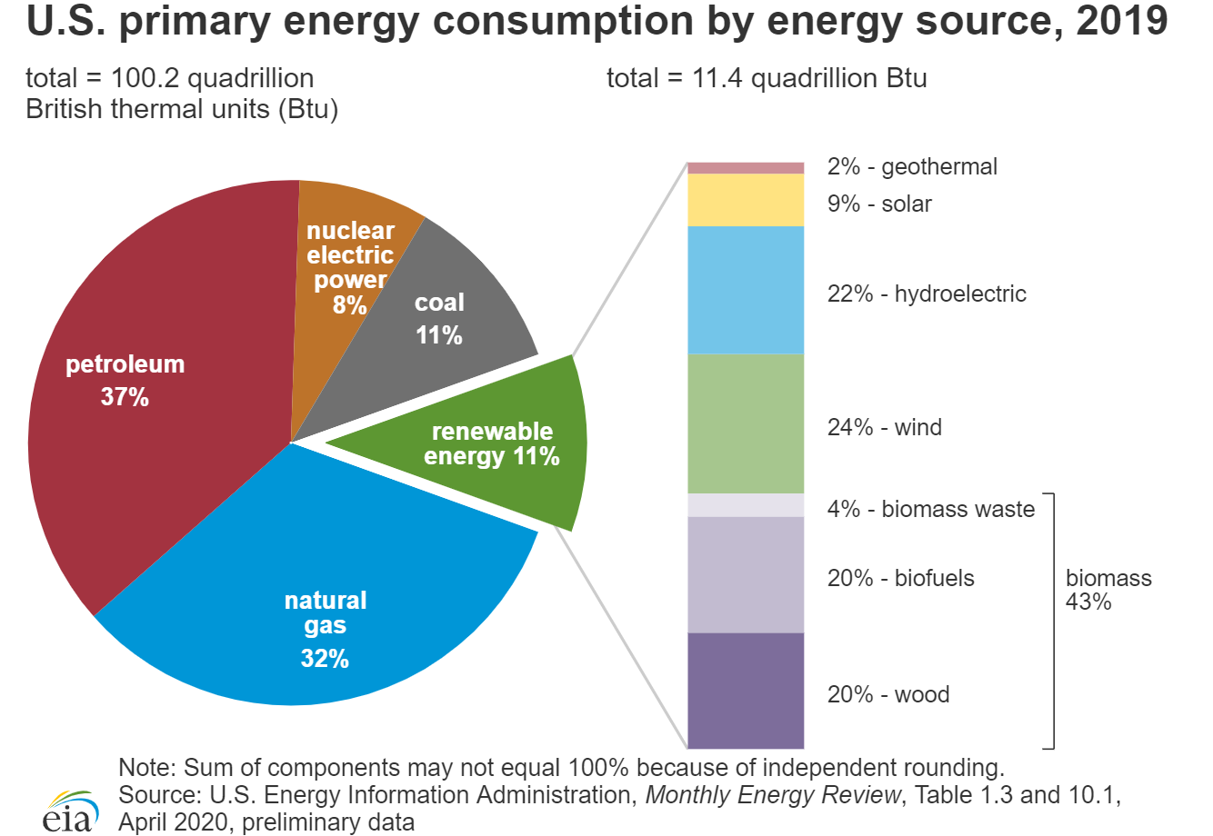 What Are Renewable Raw Materials 2022 